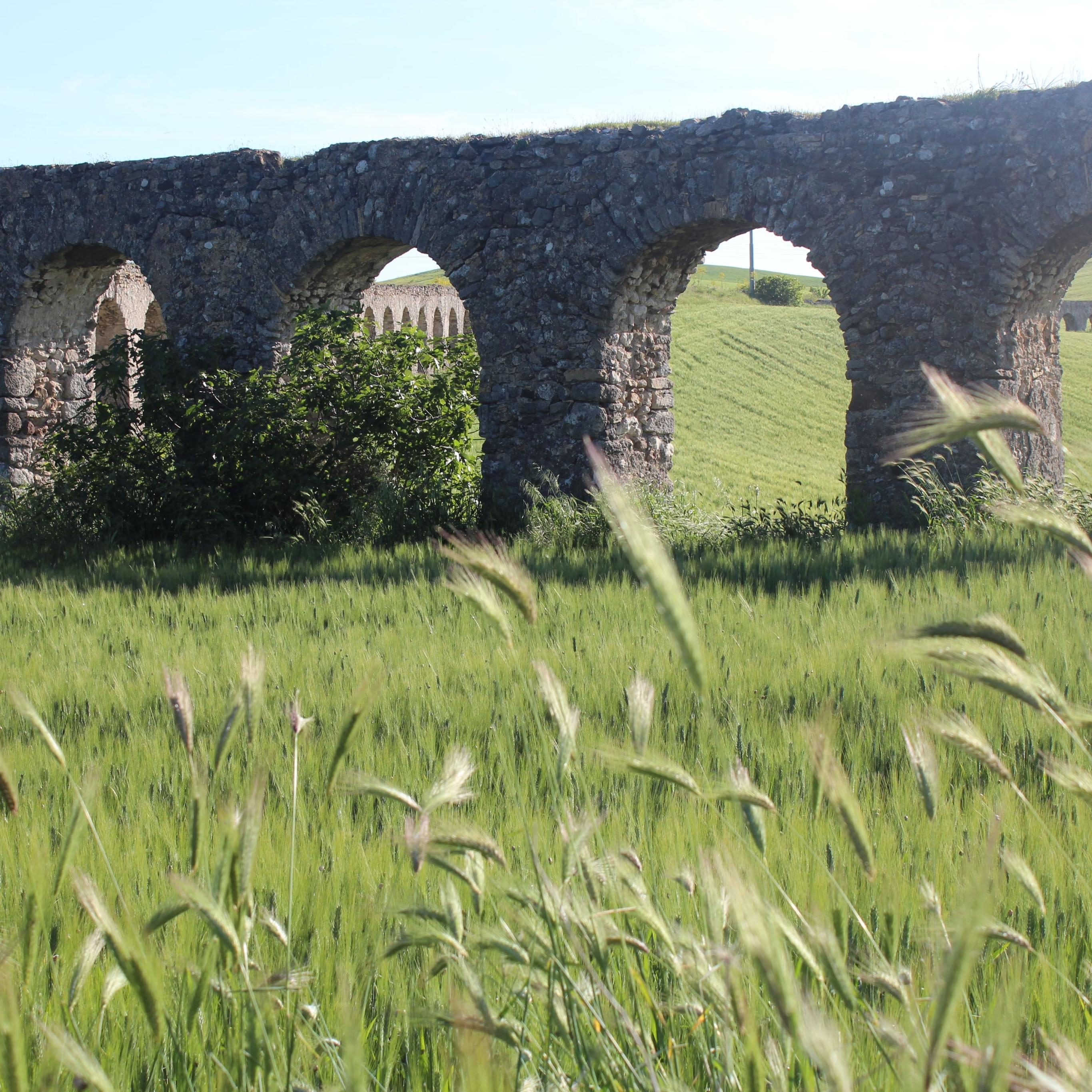 Paesaggio con acquedotto
