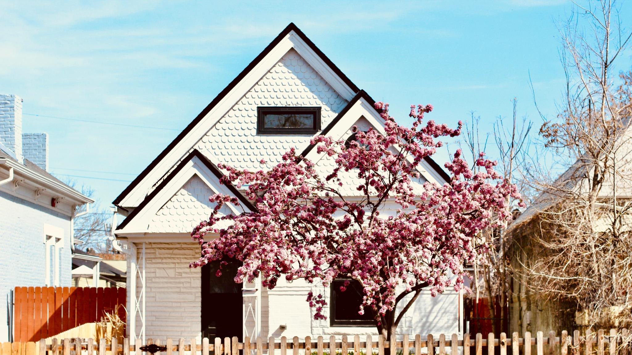 haus mit baum